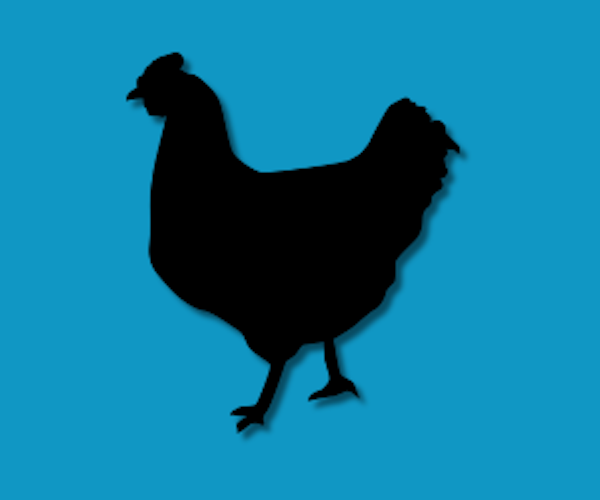 poultry icon