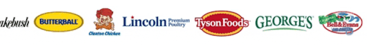Logos of several poultry brands in a row: Jennie-O, Butterball, Lincoln Premium Poultry, Tyson Foods, Georges, and Koch Foods. Each logo has distinct colors and fonts.