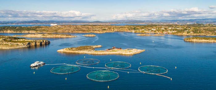 Aerial shot of a fish farm