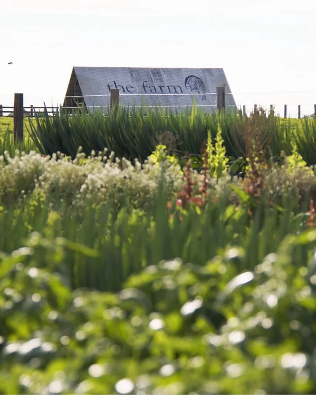 A Taste of the Region