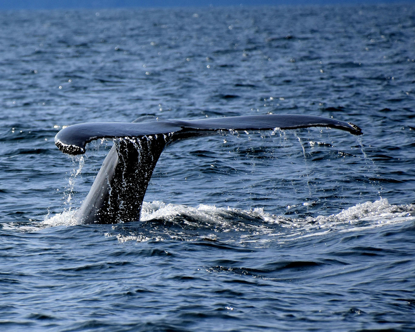 Outdoor Adventure Activities in Byron