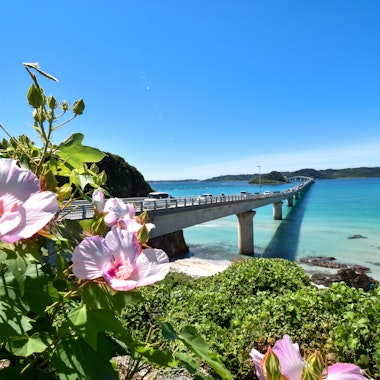 Tsunoshima Tsunoshima