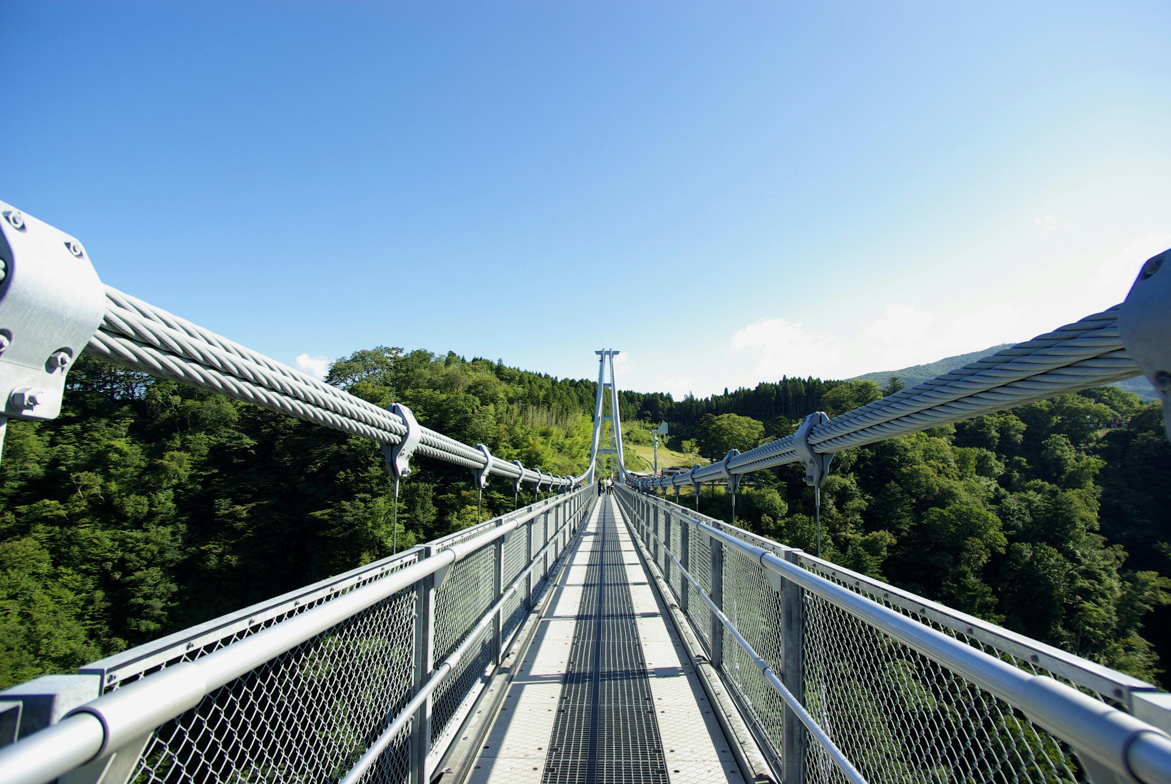 九重“夢”大吊橋（kokonoe Yume Otsurihashi）