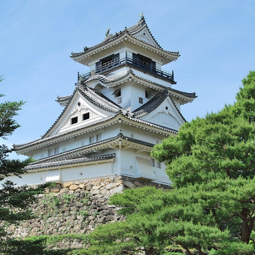 Kochi Castle A white building with trees in the background.