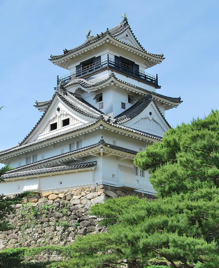 Kochi Castle Kochi Castle
