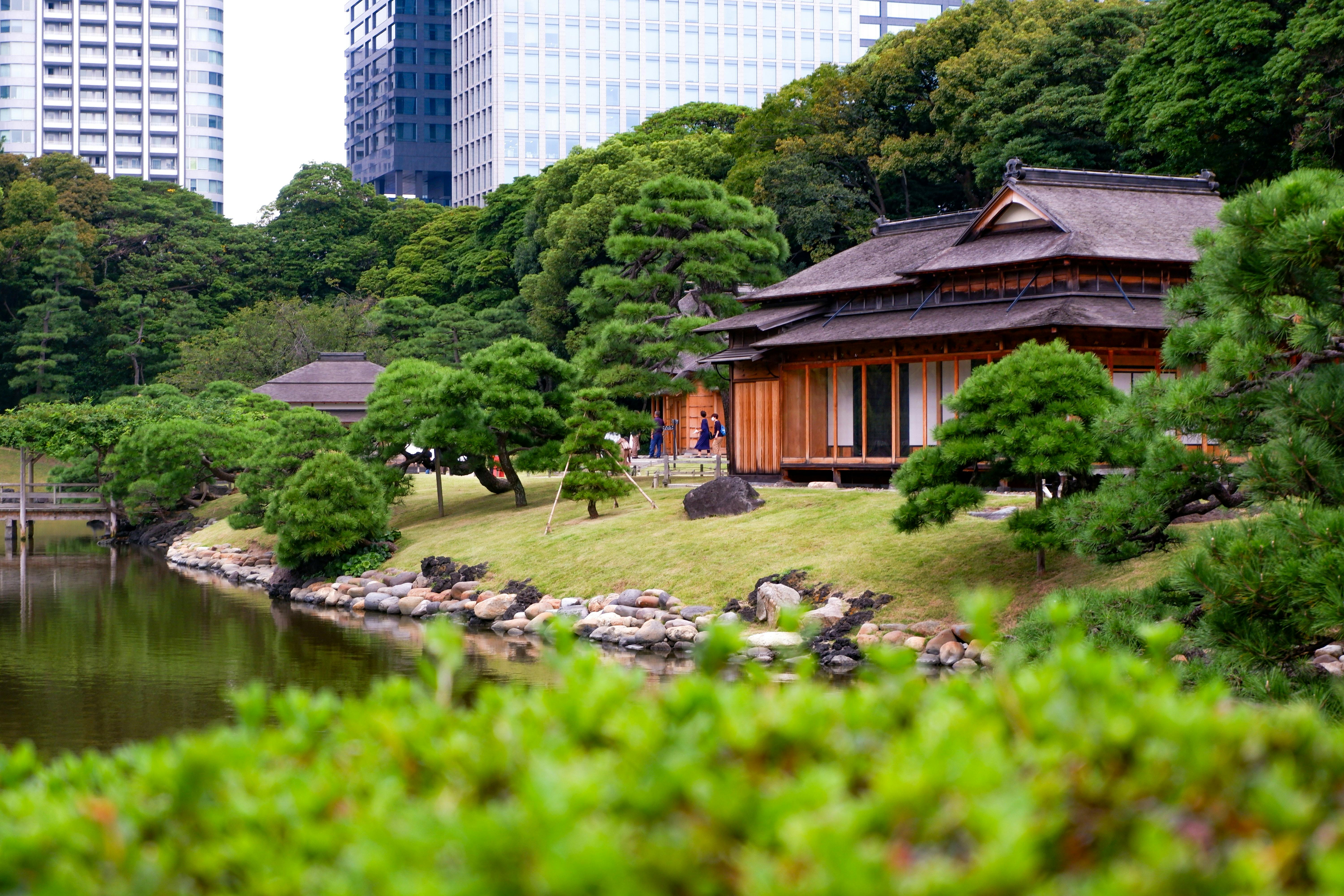 A traditional Japanese wooden building sits by a pond, surrounded by manicured trees and green shrubs, with modern skyscrapers visible in the background.