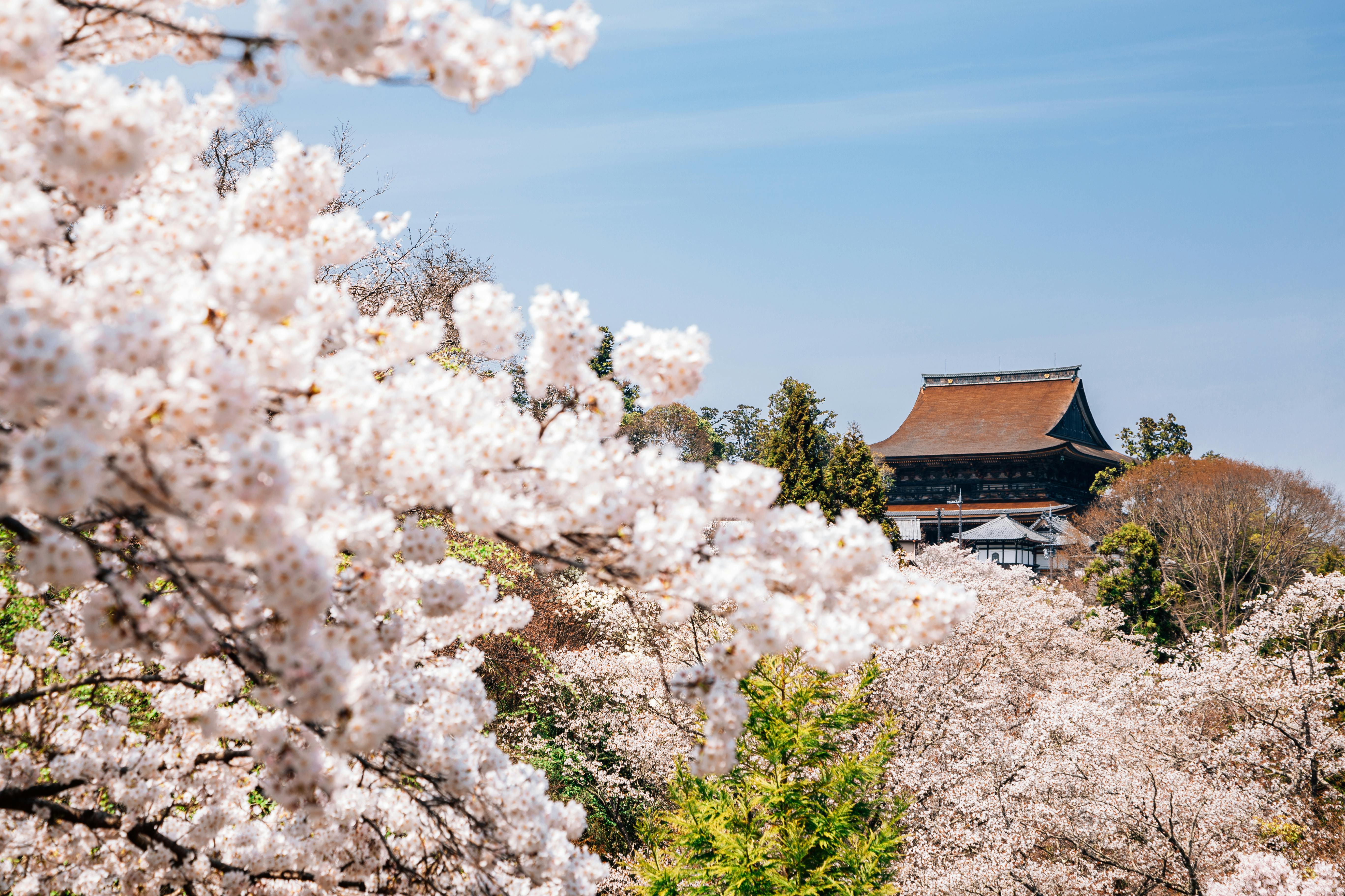 Yoshimizu Shrine