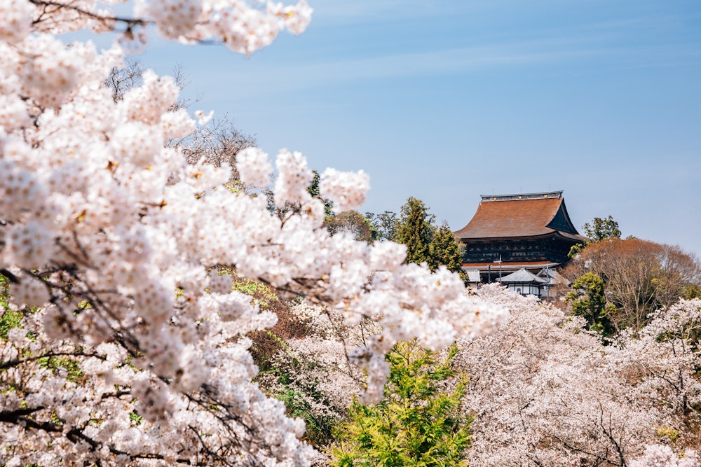 Yoshimizu Shrine