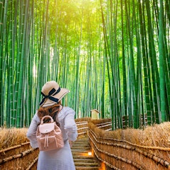 Arashiyama Bamboo Grove Arashiyama Bamboo Grove