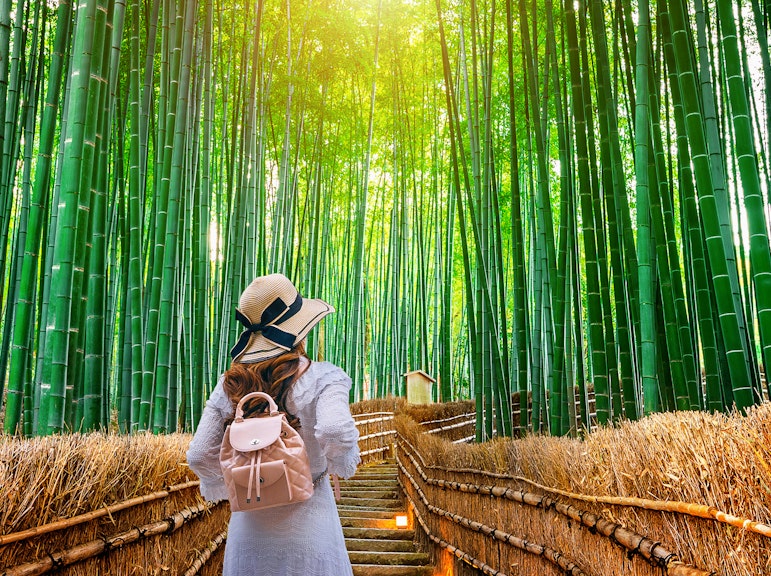 嵐山を歩いて発見 - 竹林、猿の生息地、神秘的な秘密を探索する