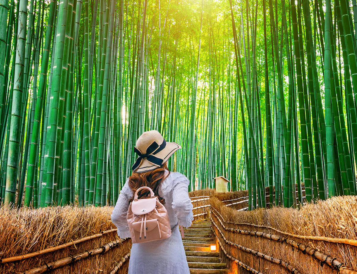 Arashiyama Bamboo Grove A person wearing a hat and backpack walks up a wooden path surrounded by tall, dense bamboo trees, with sunlight streaming through the green canopy above.