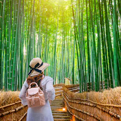 Arashiyama Bamboo Grove A person wearing a hat and backpack walks up a wooden path surrounded by tall, dense bamboo trees, with sunlight streaming through the green canopy above.