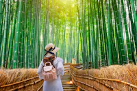 A person wearing a hat and backpack walks up a wooden path surrounded by tall, dense bamboo trees, with sunlight streaming through the green canopy above.
