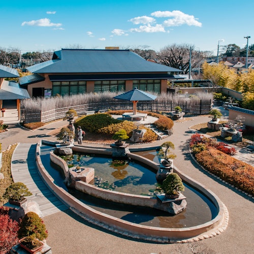 Omiya Bonsai Art Museum A serene Japanese garden with a central pond surrounded by neatly trimmed bushes and bonsai trees. The garden features winding pathways, miniature bridges, and stone lanterns. Traditional buildings with tiled roofs frame the scene under a bright blue sky.