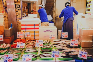 Tsukiji Fish Market