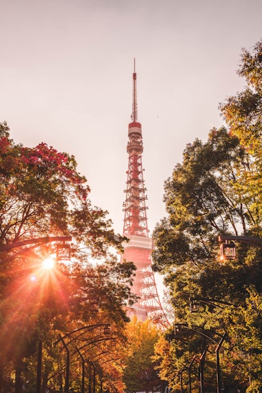 Tokyo Tower