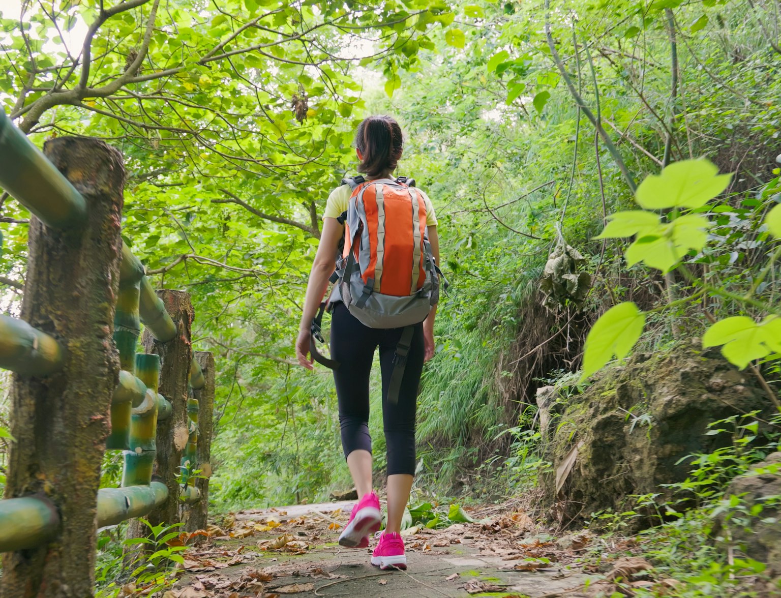Hiroshima Eco-Hiking Hiroshima Eco-Hiking