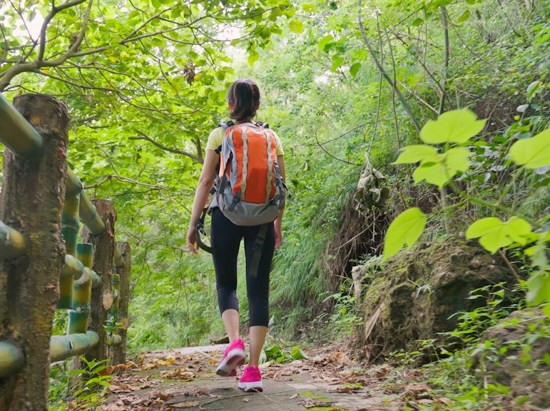 Hiroshima's Open-Air Tea Ceremony and Eco-Hiking Adventure