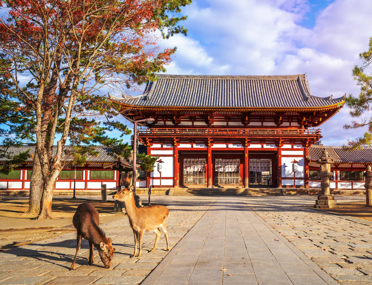 Todai-ji Temple Todai-ji Temple