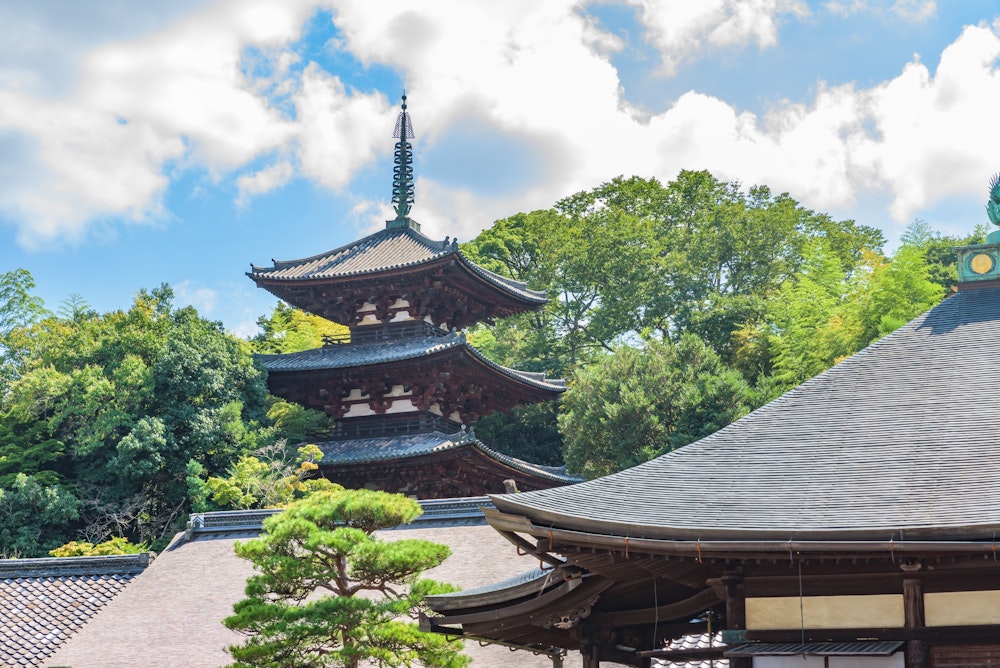 Taima-dera Temple