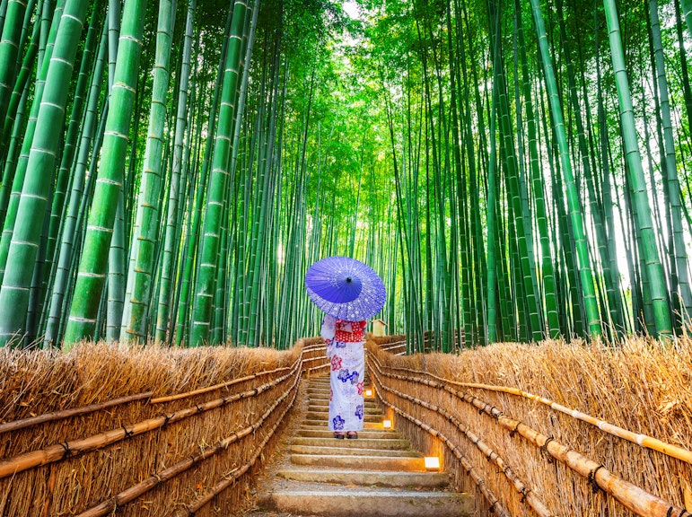 京都の裏庭:風光明媚な嵐山のウォーキングツアー