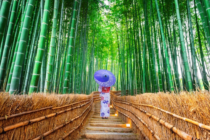 Arashiyama Bamboo Grove