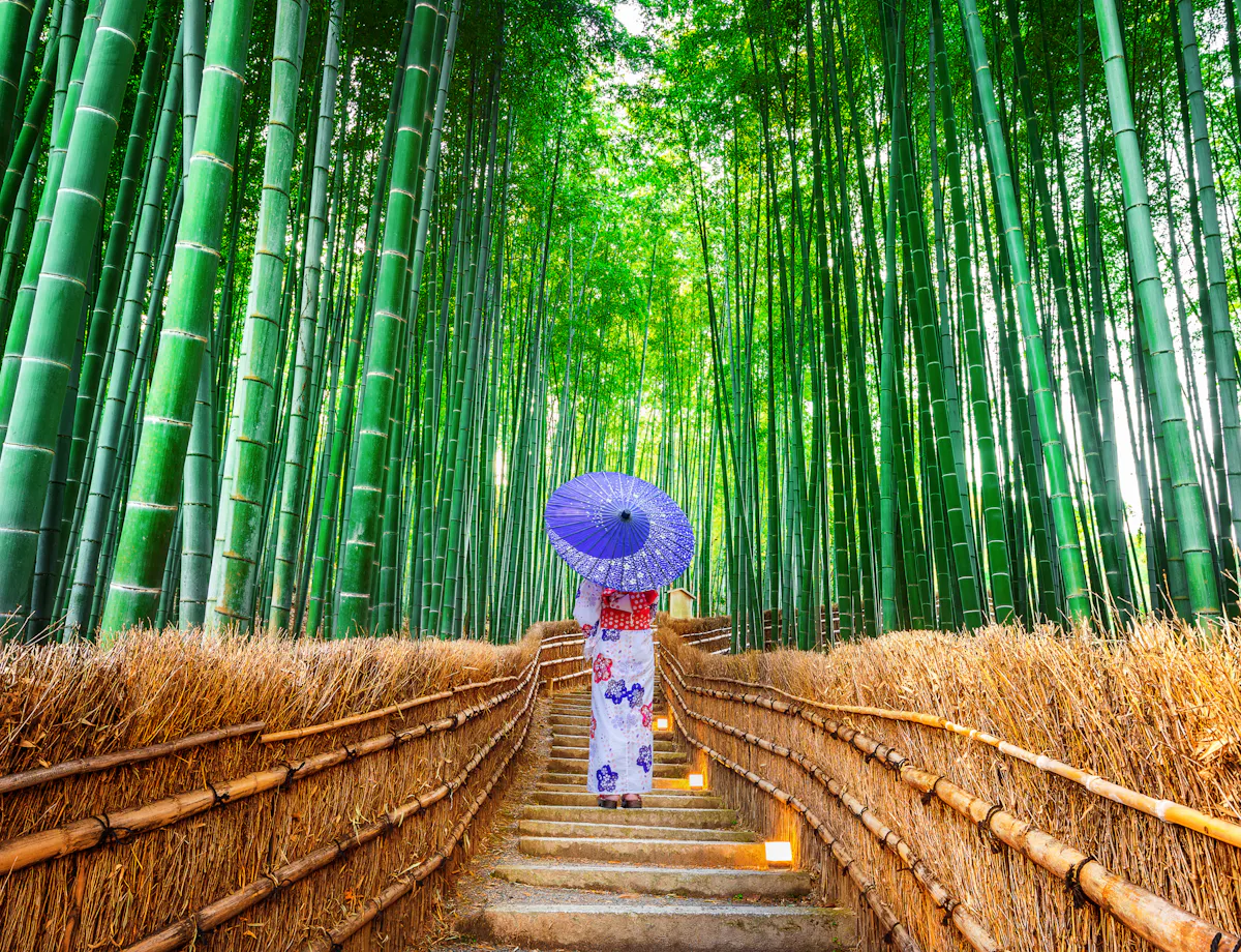 Arashiyama Bamboo Grove Arashiyama Bamboo Grove