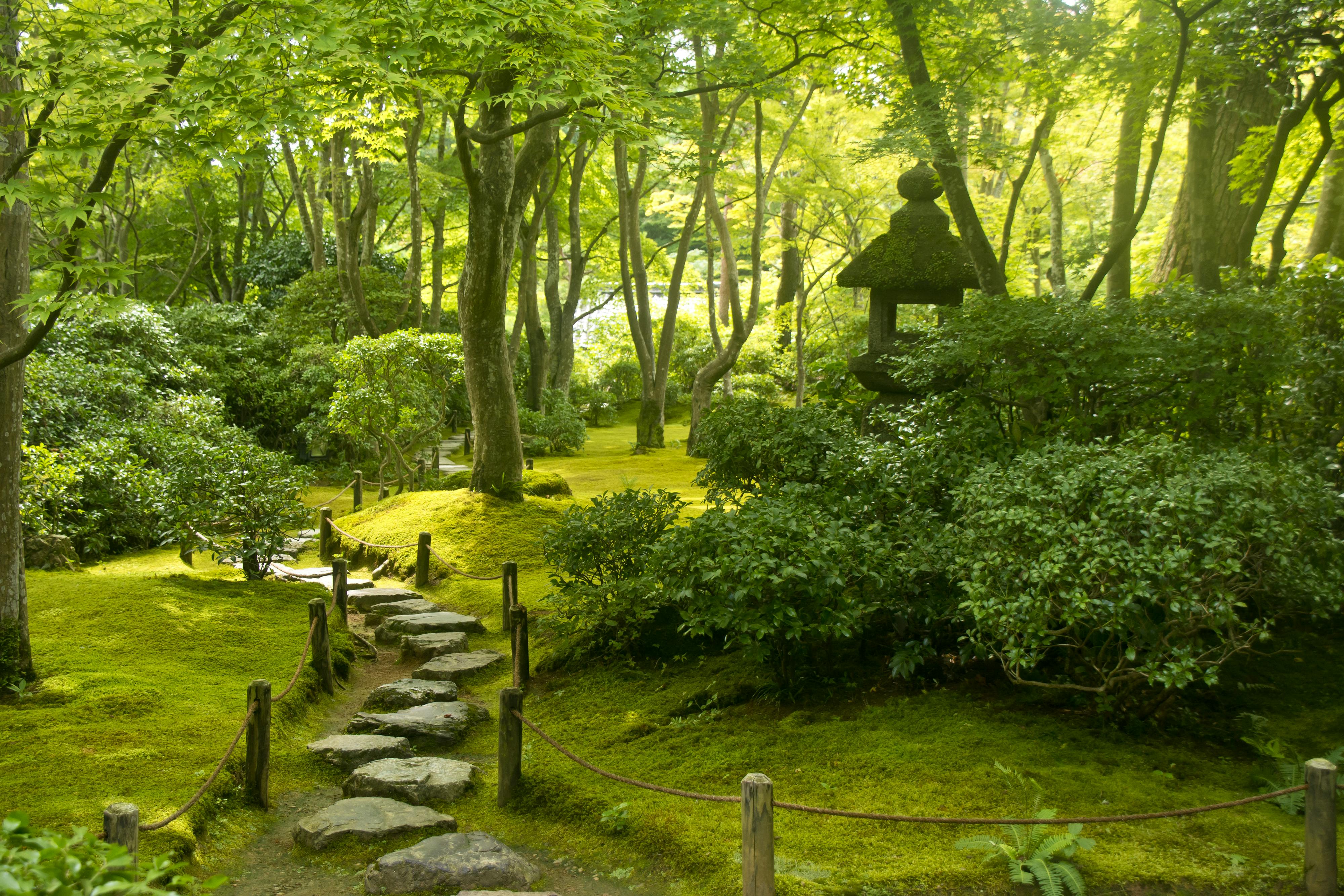 A peaceful Japanese garden with lush green moss, stone path, tall trees, dense shrubs, and a traditional stone lantern, all bathed in soft, natural light.