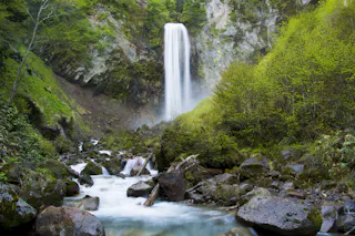 A tall waterfall cascades down a rocky cliff surrounded by lush green trees and vegetation, with a stream flowing over rocks in the foreground.