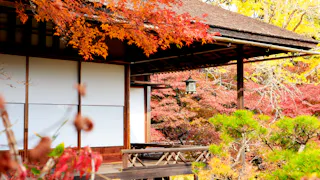 Traditional Japanese house with sliding shoji doors, surrounded by vibrant autumn foliage in shades of red, orange, and yellow. A hanging lantern and wooden veranda are visible amid the colorful trees.