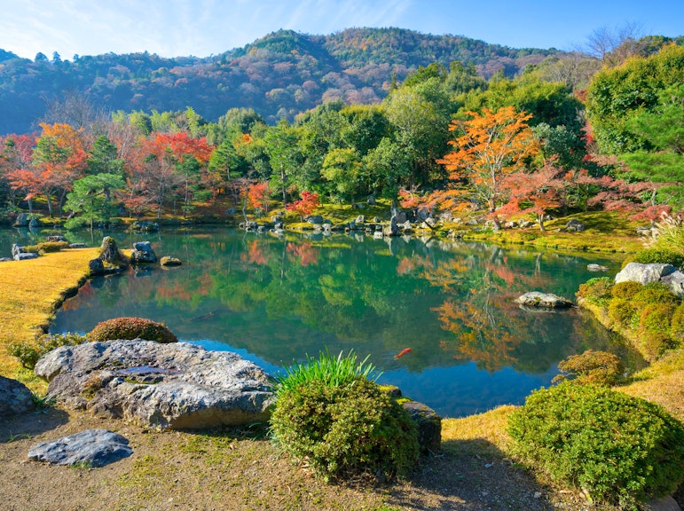 個別の嵐山京都探検:プライベート車による半日ツアー