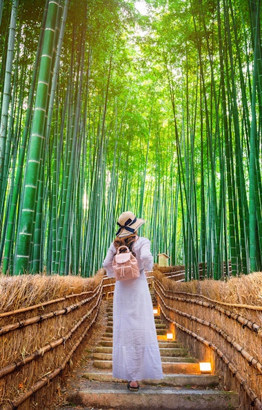 Arashiyama Bamboo Grove Arashiyama Bamboo Grove