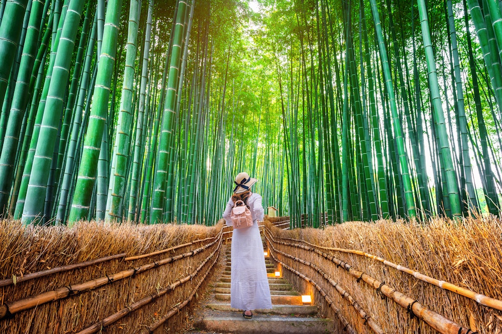 Arashiyama Bamboo Grove