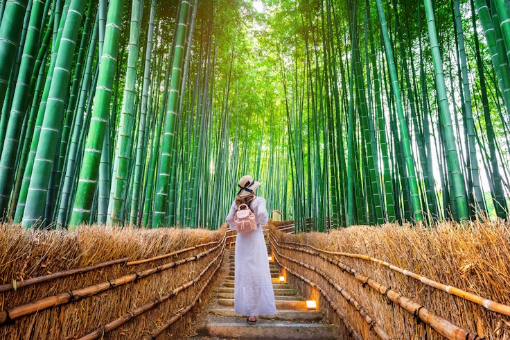 Arashiyama Bamboo Grove