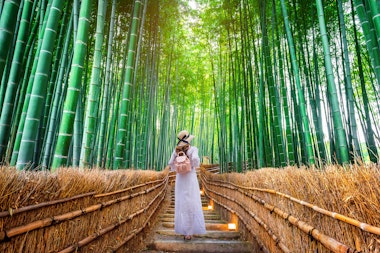 Arashiyama Bamboo Grove