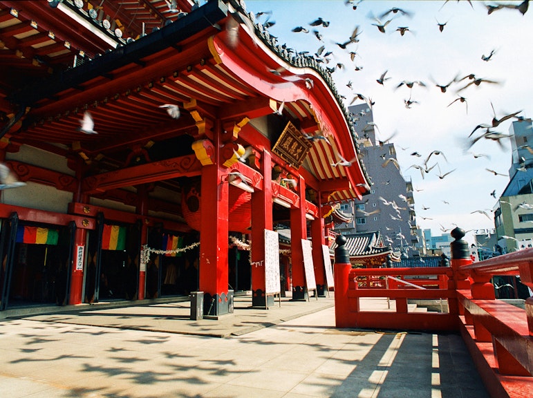 Private Full-day Nagoya City Tour