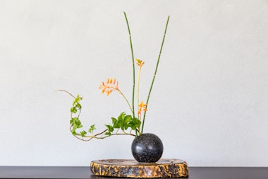Ikebana Japan flower arrangement