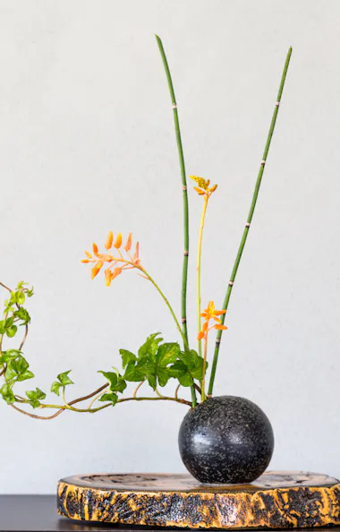 Ikebana Japan flower arrangement A minimalist ikebana flower arrangement in a black round vase, featuring green leaves, orange flowers, and tall thin stems, displayed on a round wooden base against a plain light background.