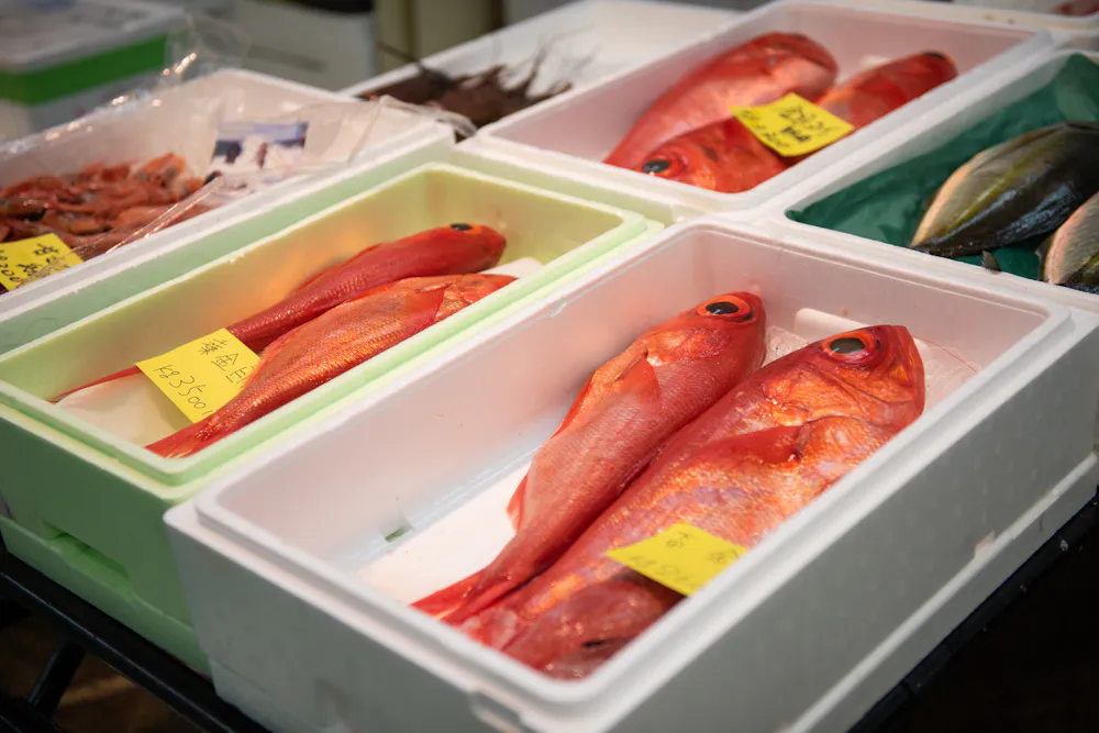Yanagibashi Fish Market