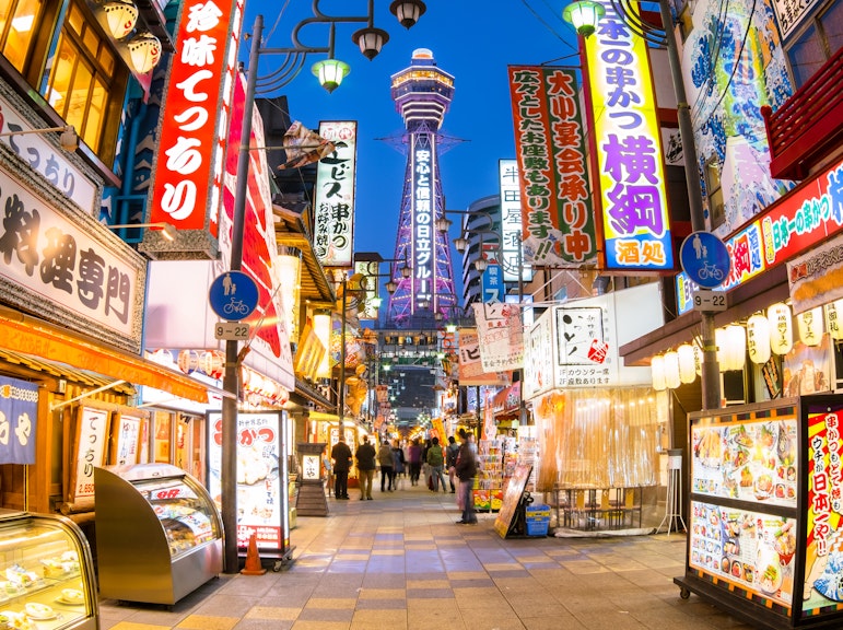 Discover Osaka: A Personalized Private Tour with a Local - Explore Highlights & Hidden Gems