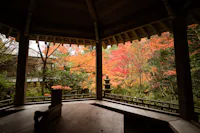 View from inside a wooden gazebo looking out at a vibrant autumn garden with red, orange, and yellow foliage, a traditional stone lantern, and lush greenery.