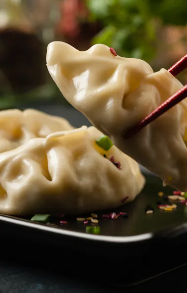 Gyoza Gyoza
