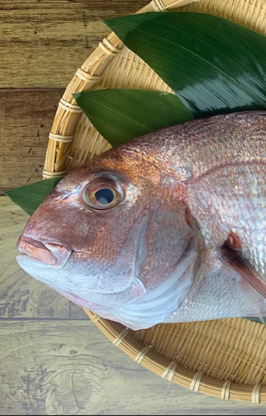Tsukiji Fish