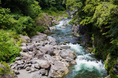 Tama River