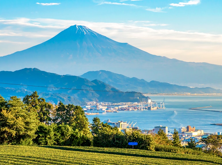 清水港探検:特別なハーフデイス探索ツアー