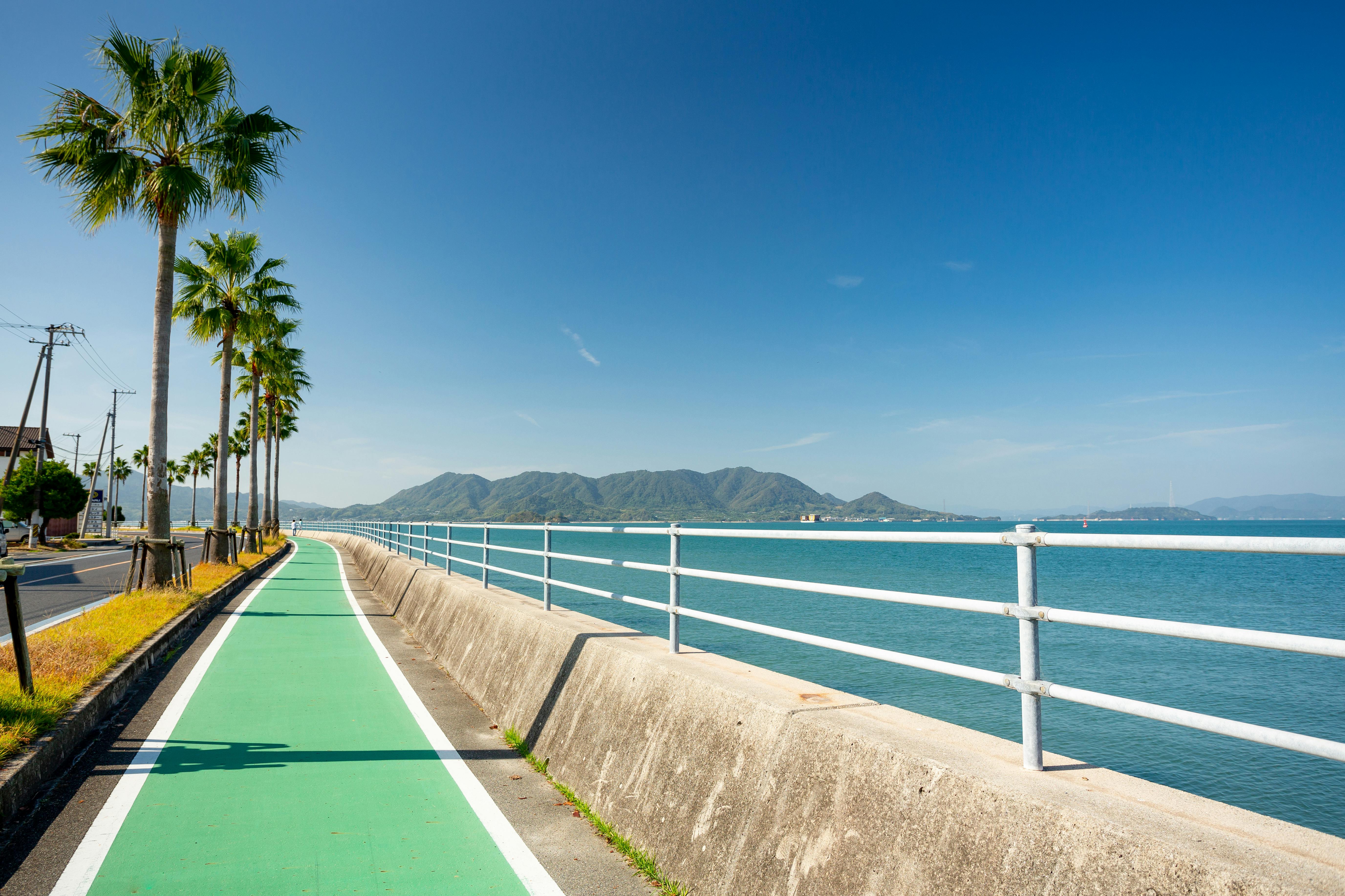 A sunny coastal road lined with palm trees runs beside a blue sea, with a green bike path separated by a barrier. Mountains are visible in the background under a clear blue sky.