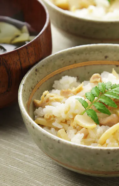 Takenoko Gohan Takenoko Gohan