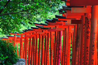 A row of vibrant red torii gates with black Japanese inscriptions, forming a tunnel-like path beneath lush green trees in a serene outdoor setting.