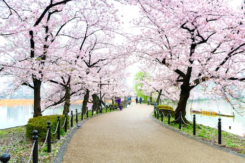 Ueno Park