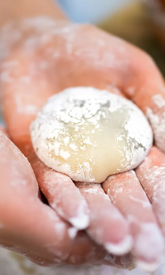 Making Wagashi Making Wagashi